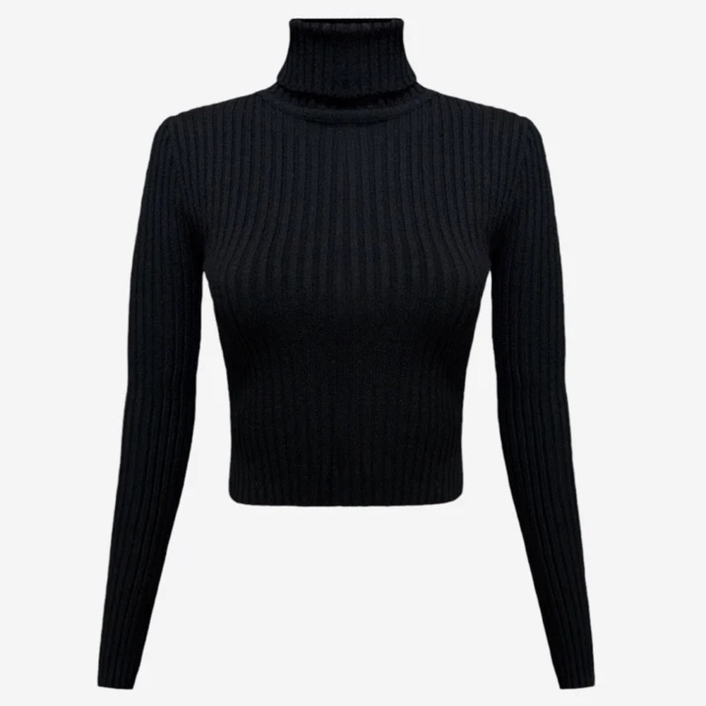 RARE zara ribbed turtle neck top